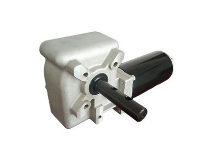 Schneckengetriebemotor